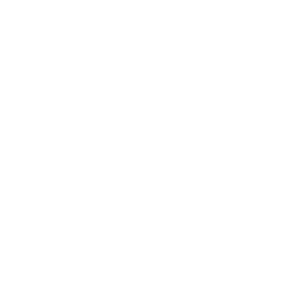 choose item icon